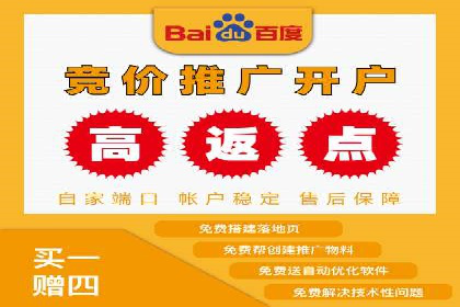 SEM优化策略：案例解读成功之道